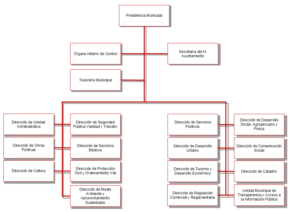 Estructura Organica